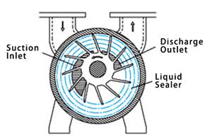 Liquid Ring Vacuum Pump